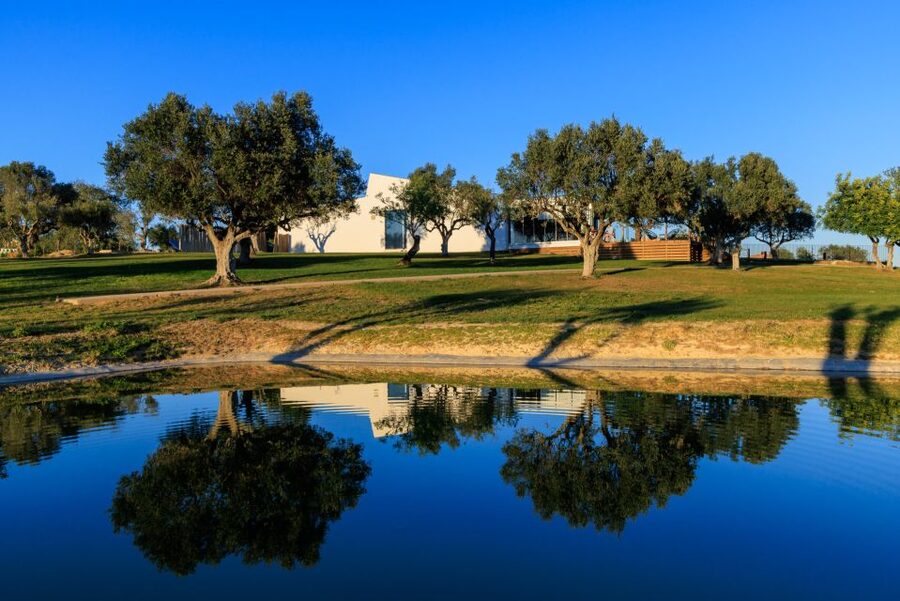 From Albufeira: 4x4 Off-Road Safari & Vineyard Wine Tasting - Inside the vineyard and winery