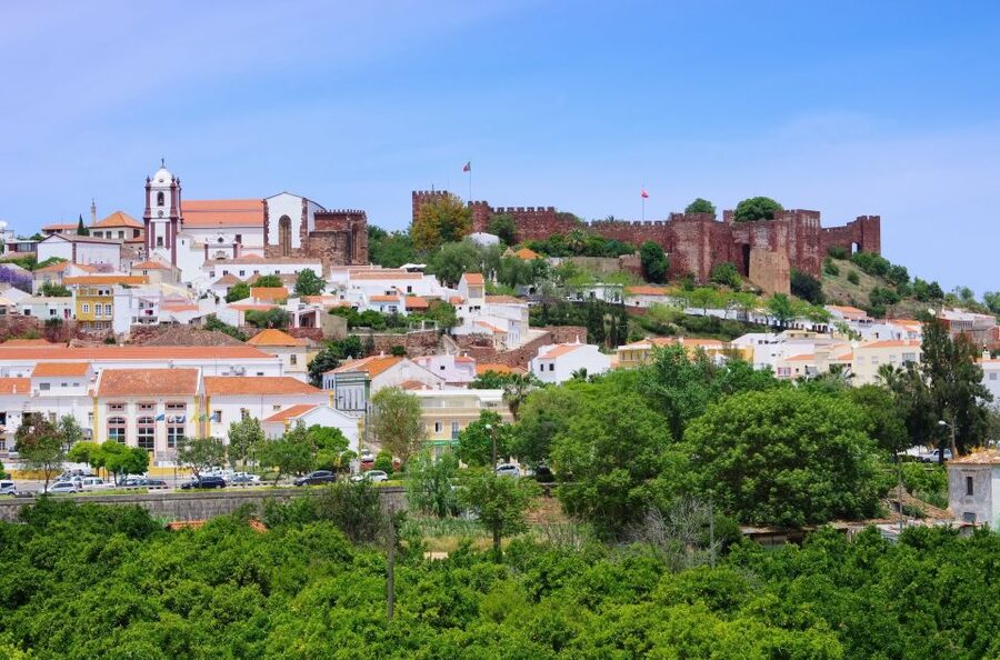 From Albufeira: Wine Tasting & Historic Silves Tour - Three wines and regional snacks
