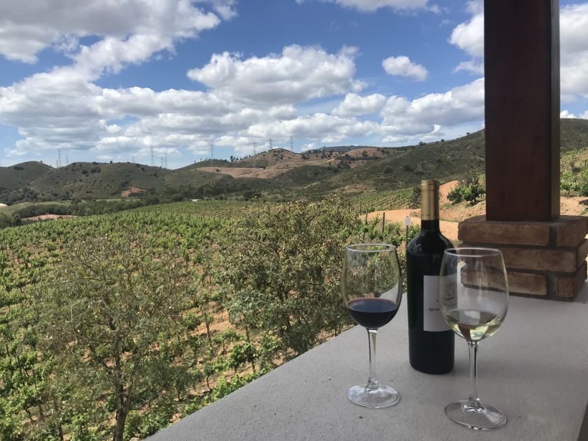 From Albufeira: Wine Tasting & Historic Silves Tour - What makes the guides important