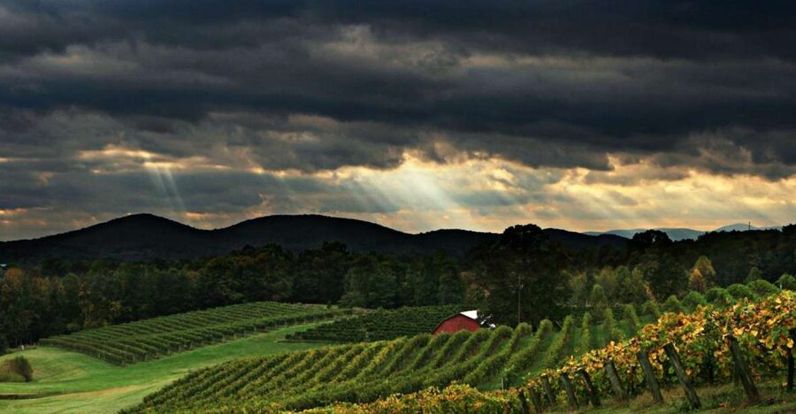 From Atlanta: North Georgia Wine Country Tour - Why this makes sense as an Atlanta day trip