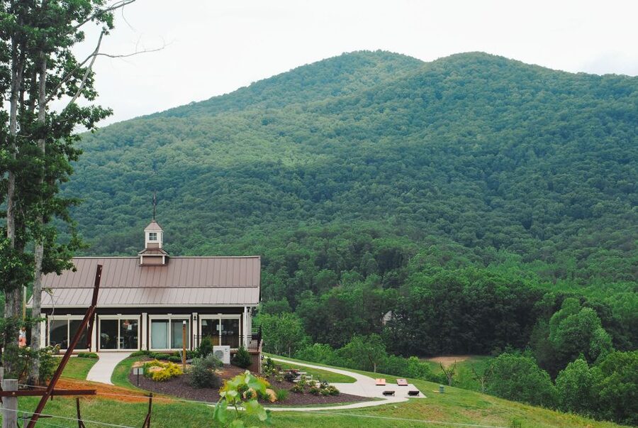 From Atlanta: North Georgia Wine Country Tour - Who will get the most from this tour