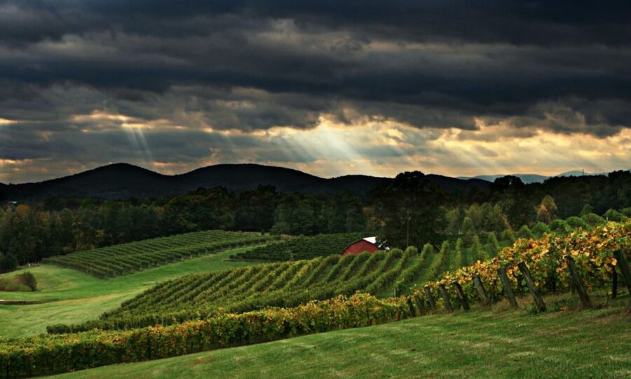 From Atlanta: North Georgia Wine Country Tour - The two-hour ride into North Georgia