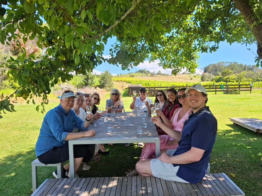 From Auckland: Waiheke Island Wine Cellar Tour - Why three vineyards work better than one