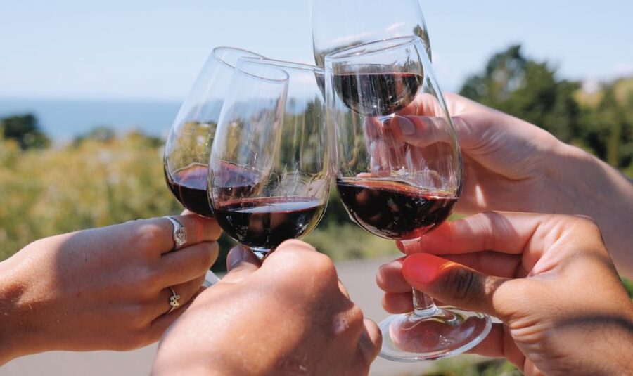 From Auckland: Waiheke Island Wine Cellar Tour - Group size, comfort, and the practical trade-offs