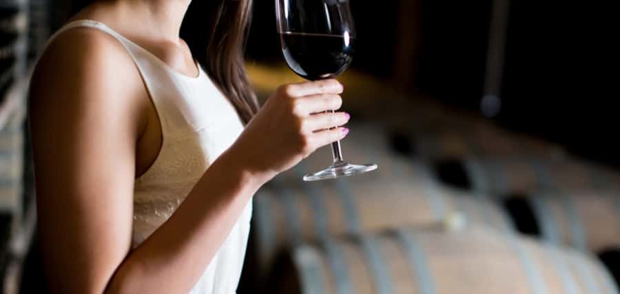 From Auckland: Waiheke Island Wineries' Tour - From Auckland Harbour to Waiheke vines