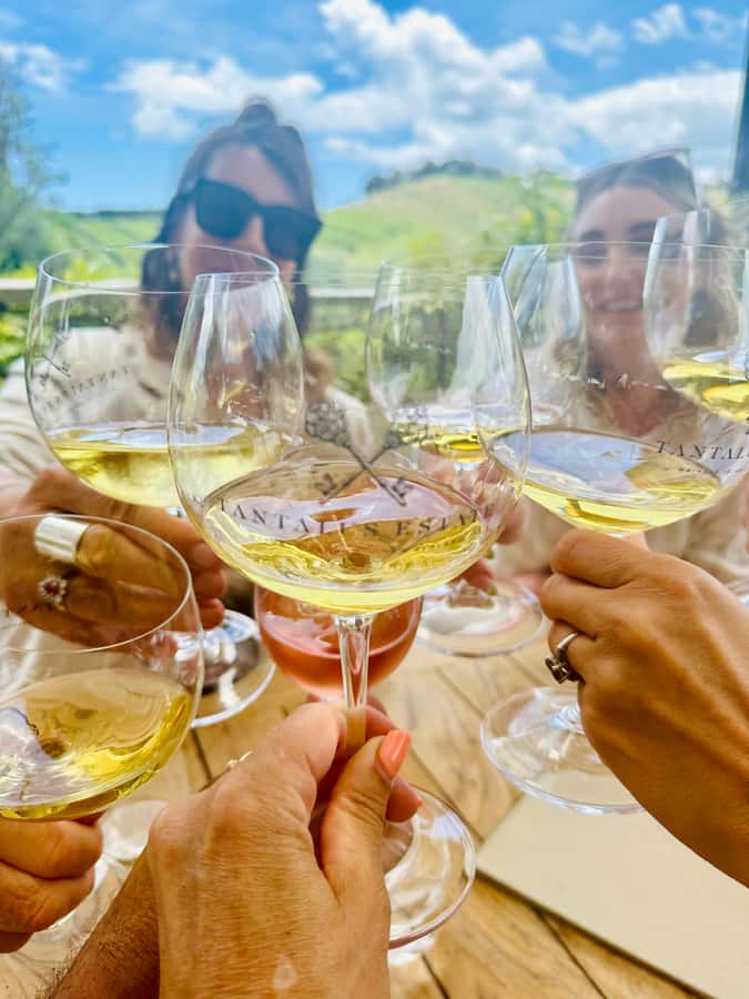 From Auckland: Waiheke Island Wineries' Tour - A small van makes the day more personal