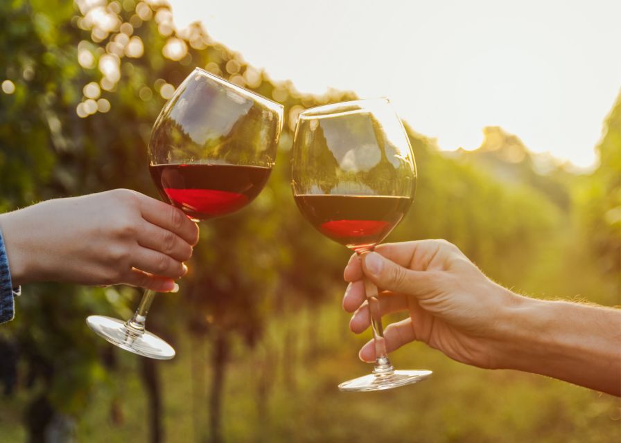 From Austin: Half-Day Hill Country Wine Shuttle - The guides are a major part of the afternoon