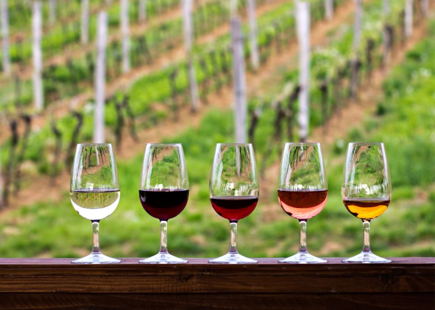 From Austin: Half-Day Hill Country Wine Shuttle - Should you book the Austin Hill Country Wine Shuttle?
