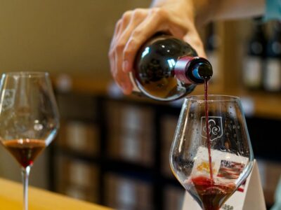 Châteauneuf du Pape Half-Day Wine Tour