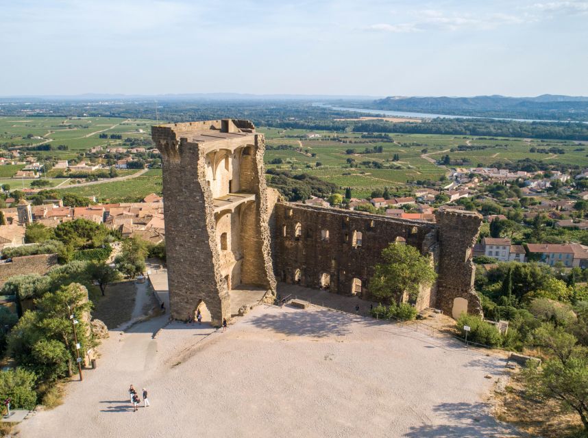 From Avignon: Châteauneuf du Pape Half-Day Wine Tour - Who should book this tour?