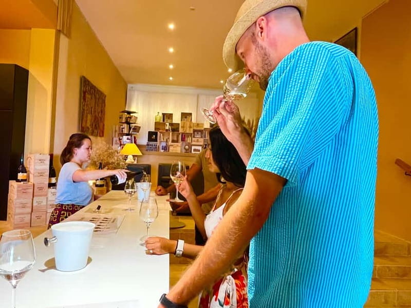 From Avignon: Wine Tour with Visit to Châteauneuf du Pape - Gigondas, wind, altitude, and red wine