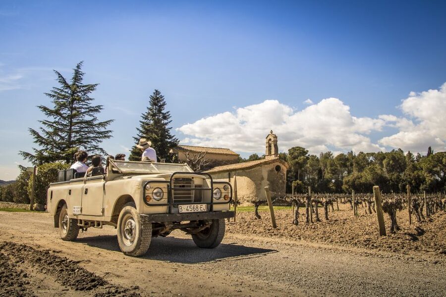 From Barcelona: Penedés Vineyards Tour by 4WD w/Wine & Cava - Pere Ventura: cava in the old capella