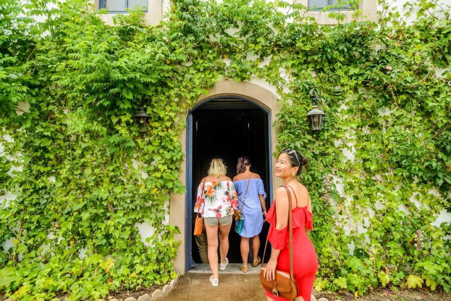 From Barcelona: Penedés Vineyards Tour by 4WD w/Wine & Cava - The food and drink: generous tastings, not lunch