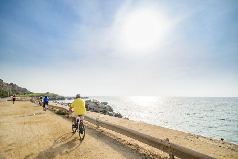 From Barcelona: Private Alella Wine Tour by Electric Bike - Key points to know before you book