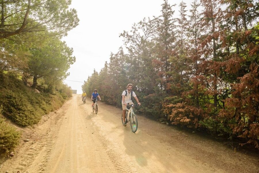 From Barcelona: Private Alella Wine Tour by Electric Bike - Should you book the private Alella wine tour?