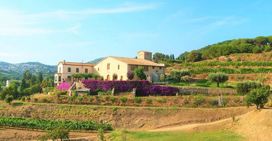 From Barcelona: Private Alella Wine Tour by Electric Bike - Why this is more than a Barcelona wine tasting