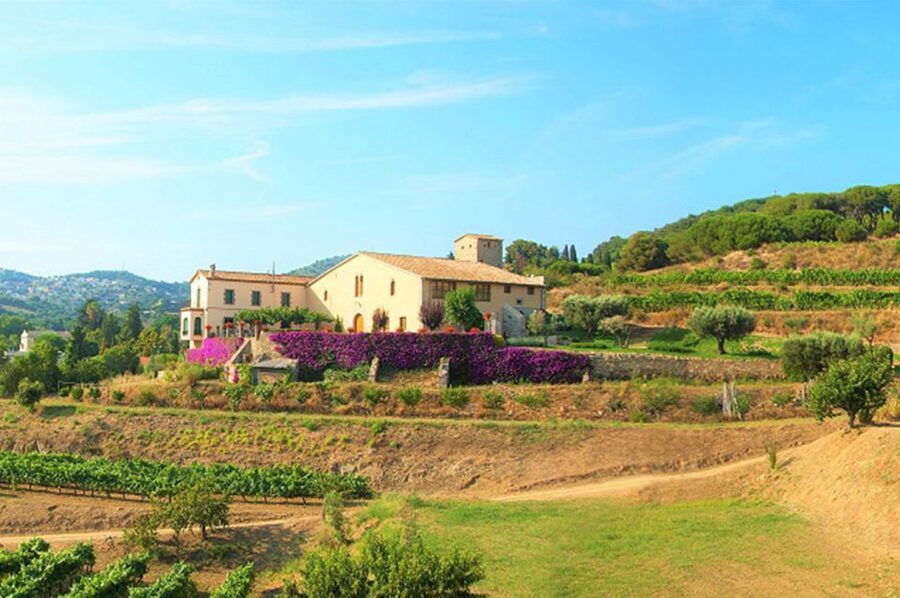 From Barcelona: Private Alella Wine Tour by Electric Bike - The Mediterranean coast and the Maresme ride