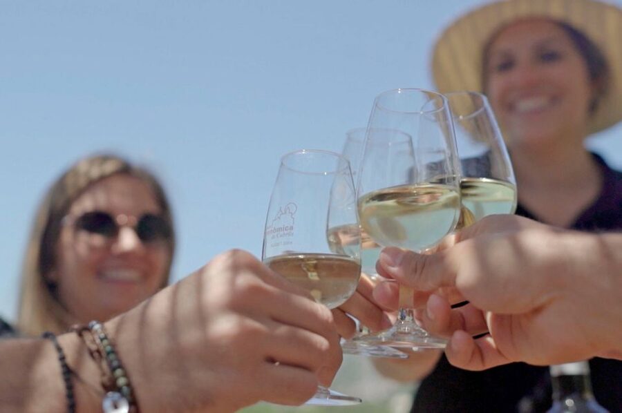 From Barcelona: Private Alella Wine Tour by Electric Bike - A simple Catalan picnic among the vines