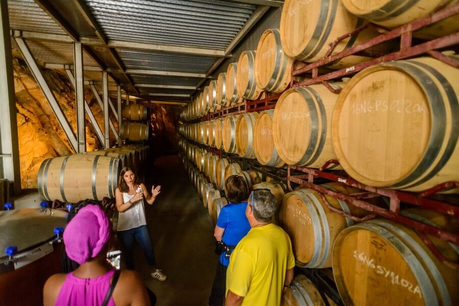 From Barcelona: Private Alella Wine Tour by Electric Bike - The return by El Masnou train