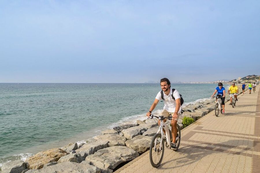 From Barcelona: Private Alella Wine Tour by Electric Bike - Weather, language, and cancellation details