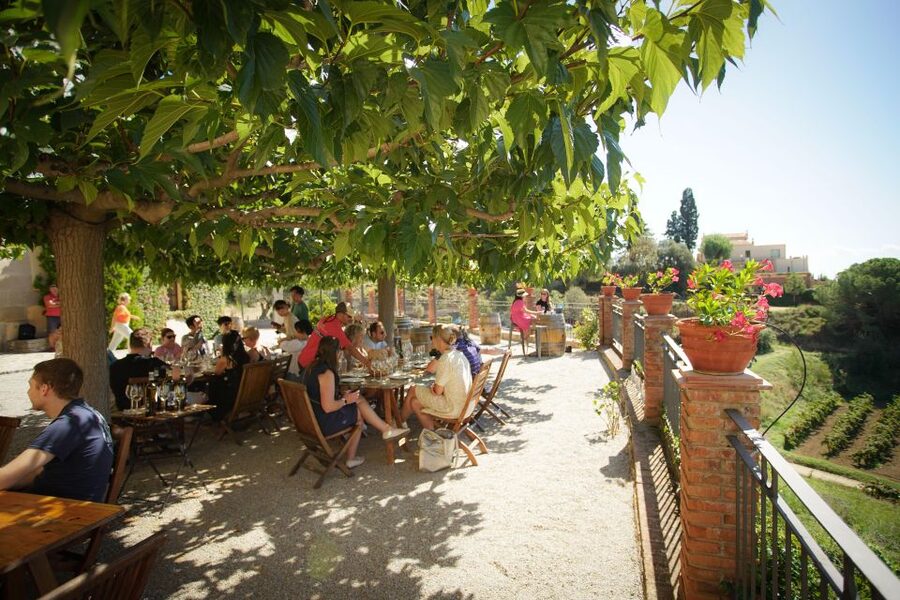 From Barcelona: Sailing and Wine Tasting Experience - Tasting three Alella wines with local food