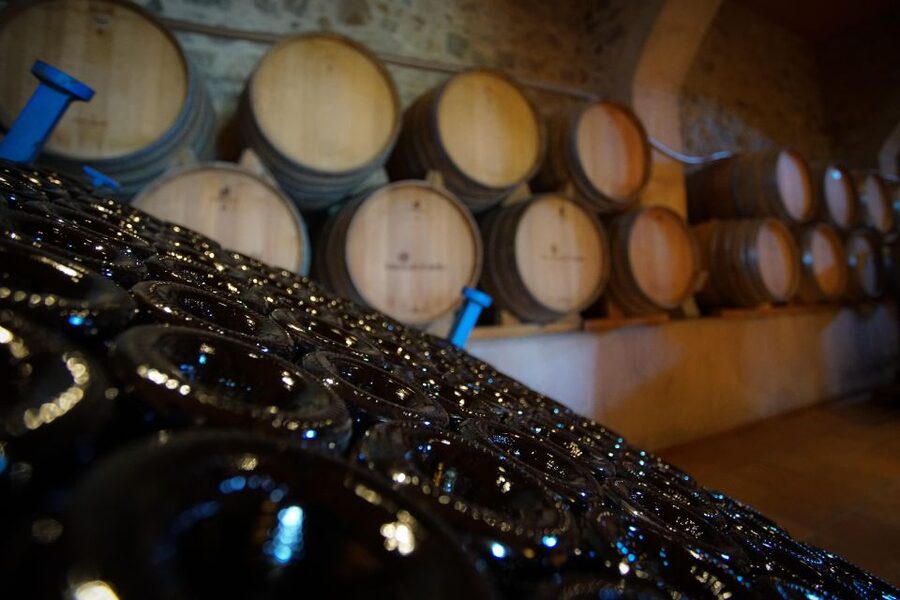 From Barcelona: Sailing and Wine Tasting Experience - Starting by sailboat from Barcelona