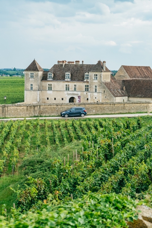 From Beaune: Burgundy Day Trip with 14 Wine Tastings - Key points to know before booking