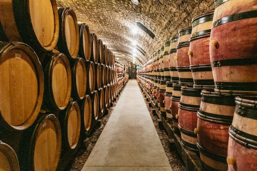 From Beaune: Burgundy Day Trip with 14 Wine Tastings - Who should book this tour