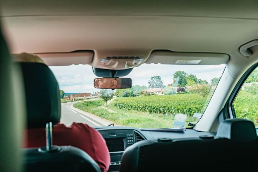 From Beaune: Burgundy Day Trip with 14 Wine Tastings - What the $294 price really covers