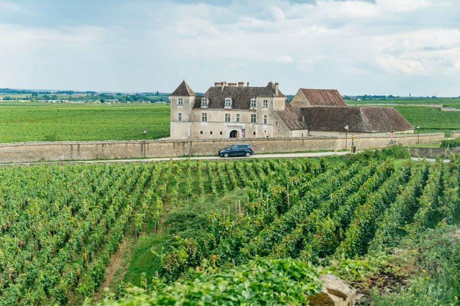 From Beaune: Burgundy Day Trip with 14 Wine Tastings - Meeting in Beaune at 9:30 AM