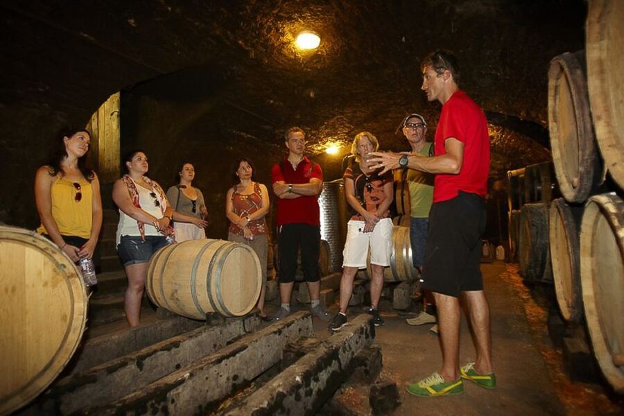 From Beaune: Full-Day Bicycle and Wine Tour in Burgundy - Why cycling is the right way to see the Côte de Beaune