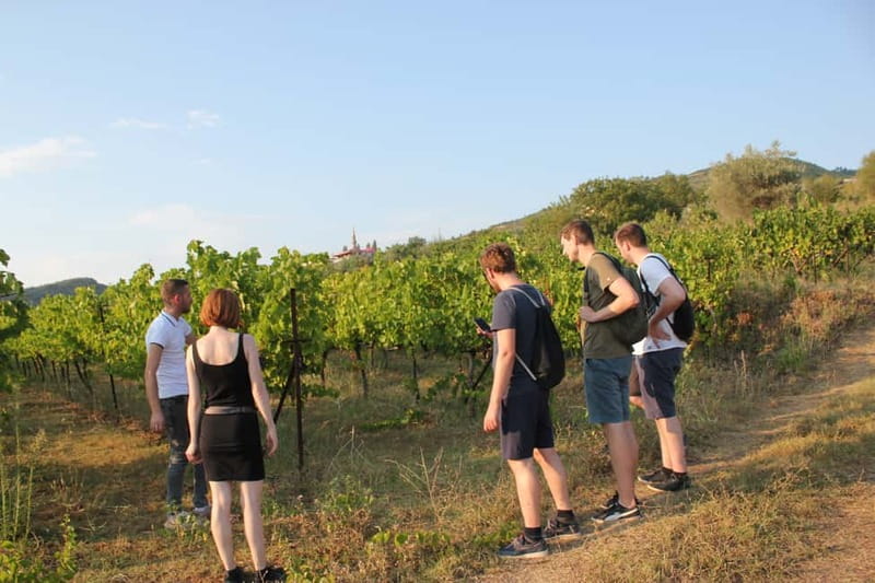 From Berat: Guided Winery Tour with Transfers and Tastings - Why this Berat wine tour is worth your afternoon