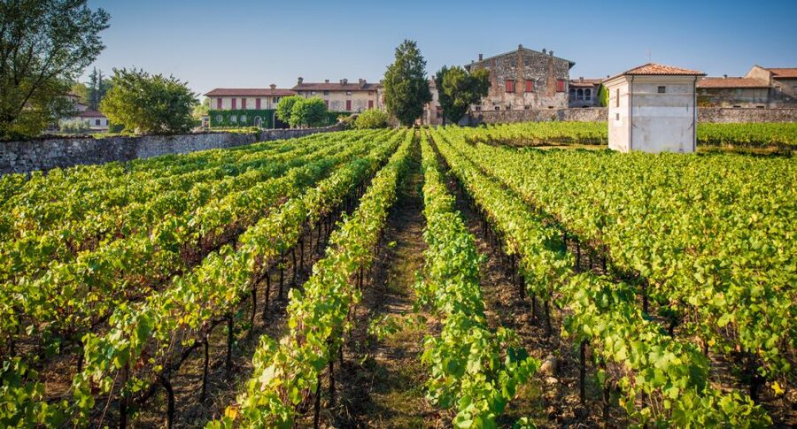 From Bergamo: Winery Tour in Franciacorta with Lunch - Lunch near Lake Iseo takes 75 minutes