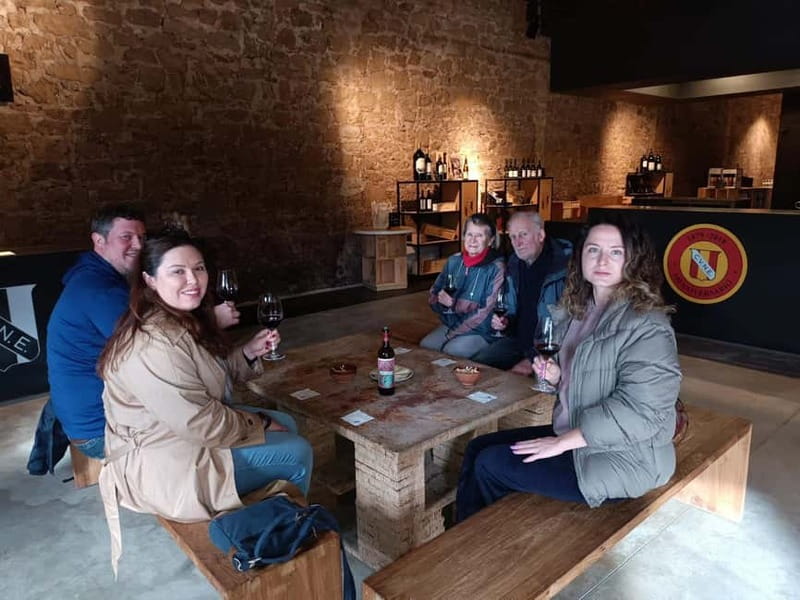 From Bilbao: La Rioja Wineries Day Trip with Wine Tastings - Elciego and the Marqués de Riscal stop