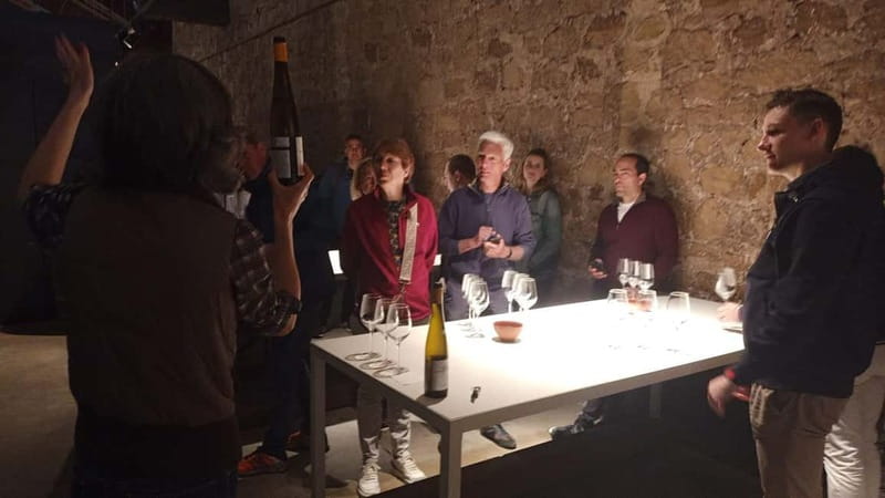 From Bilbao: La Rioja Wineries Day Trip with Wine Tastings - Transport, pace, and comfort