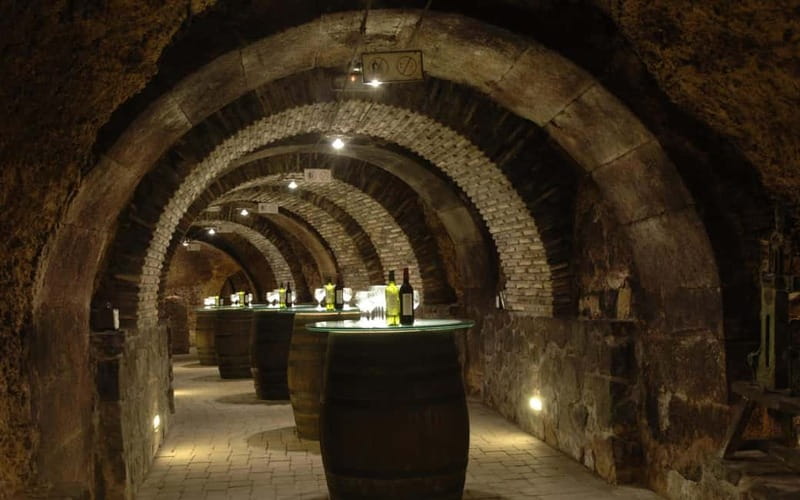 From Bilbao: La Rioja Wineries Day Trip with Wine Tastings - Haro and the cellars of CVNE