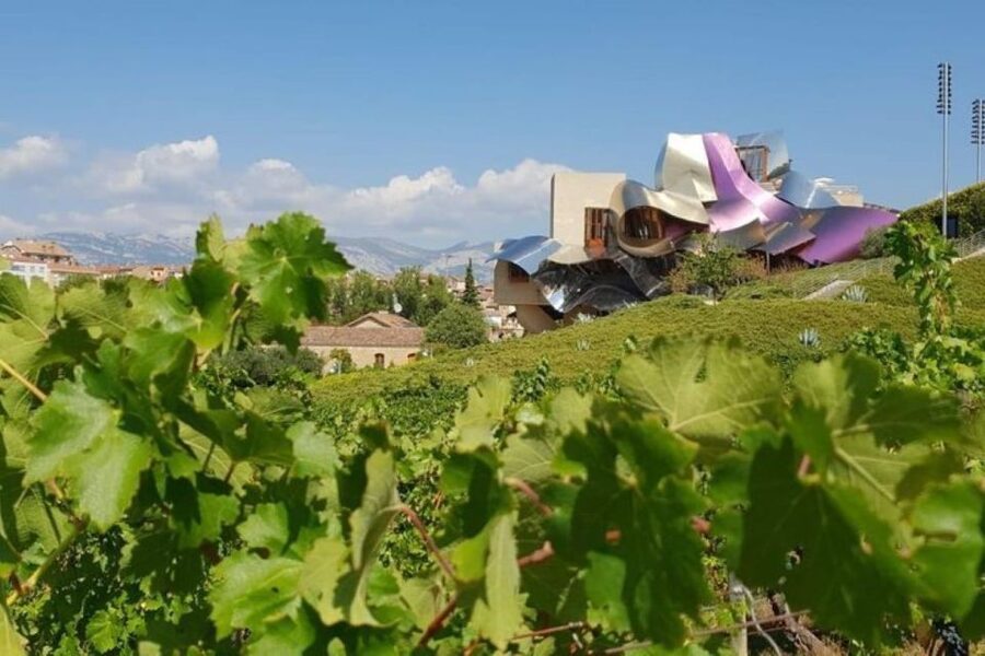 From Bilbao: Rioja Architecture and Wine Tour - Ysios and the Sierra Cantabria view