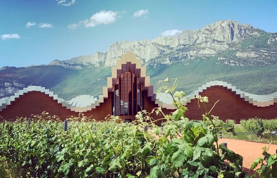 From Bilbao: Rioja Architecture and Wine Tour - What the wine tasting adds