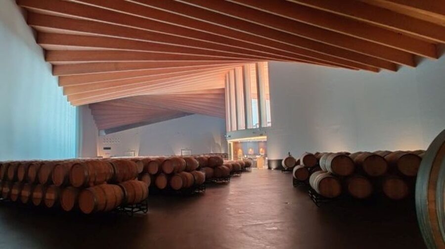 From Bilbao: Rioja Architecture and Wine Tour - Is $288 a fair price?