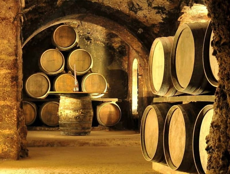 From Bilbao: Rioja Wine Region with Winery & Vitoria-Gasteiz - Laguardia, a medieval village with wine below its feet