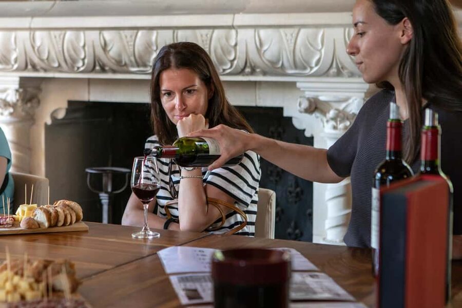 From Bordeaux: Afternoon Saint-Emilion Wine Tasting & snack - From Quinconces Square into the Bordeaux vineyards