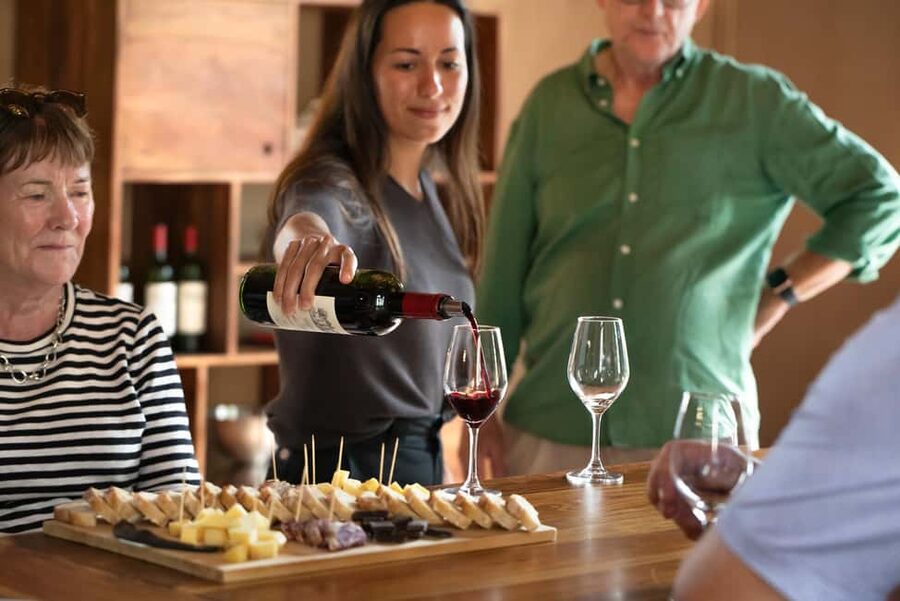 From Bordeaux: Afternoon Saint-Emilion Wine Tasting & snack - Why the group size and guides matter