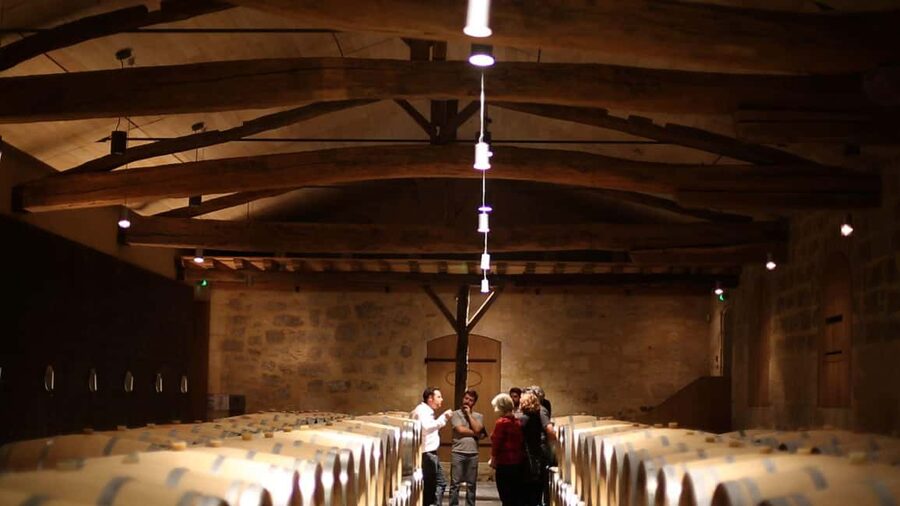 From Bordeaux: Afternoon Saint-Emilion Wine Tasting & snack - Small practical details before you book