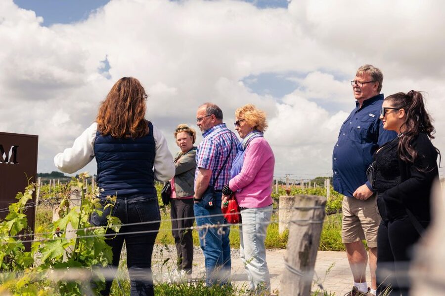 From Bordeaux: Essential Morning Tour with Wine Tasting - A compact introduction to Margaux wine