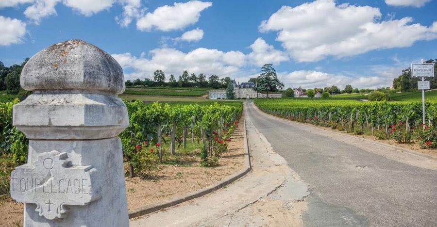 From Bordeaux: Full-Day St Emilion Wine Tasting Tour - Why this makes sense from Bordeaux
