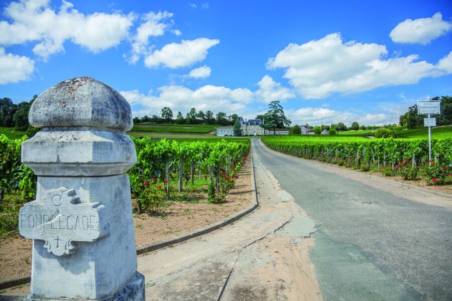 From Bordeaux: Full-Day St Emilion Wine Tasting Tour - The Right Bank in plain English