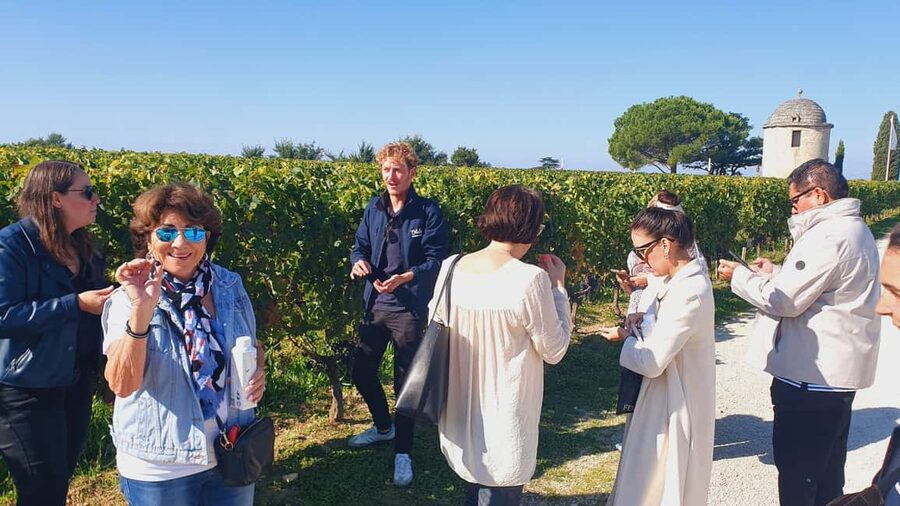 From Bordeaux: Half-Day Saint-Émilion Tour and Wine Tasting - Three wines with cheese and charcuterie
