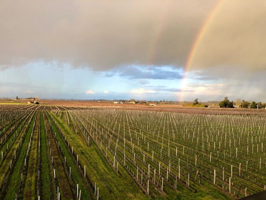 From Bordeaux: Half-Day Saint-Emilion Wine Tour - Meeting at Place des Quinconces