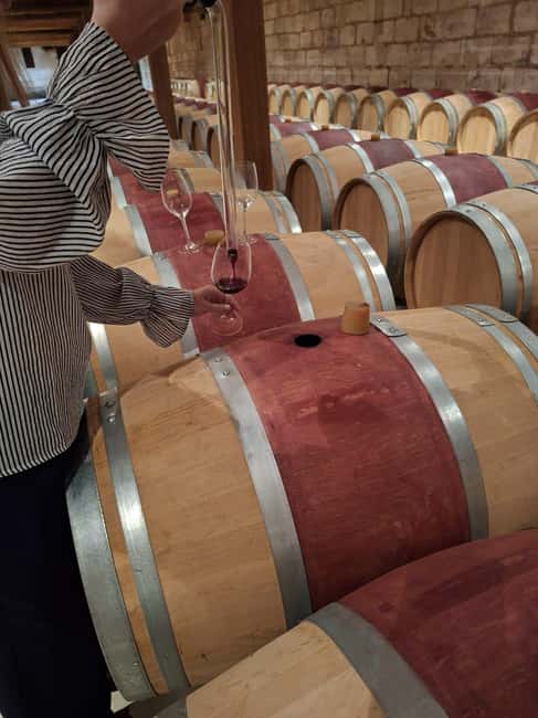From Bordeaux: Medoc Wineries Tour with Tastings - The first 75 minutes at a classified-growth estate