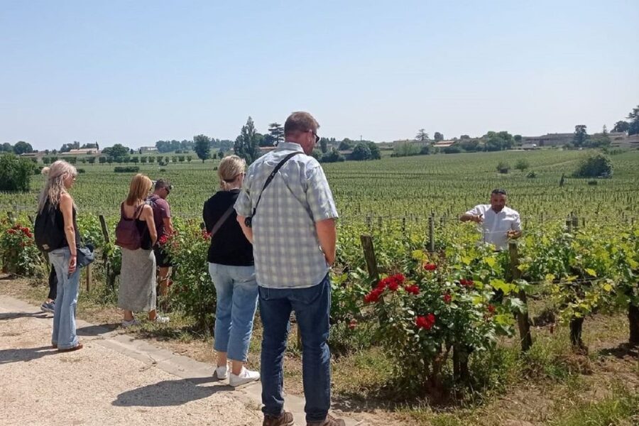 From Bordeaux: Saint-Emilion Guided Wine Tasting Tour - Should you book the Saint-Émilion wine tour?